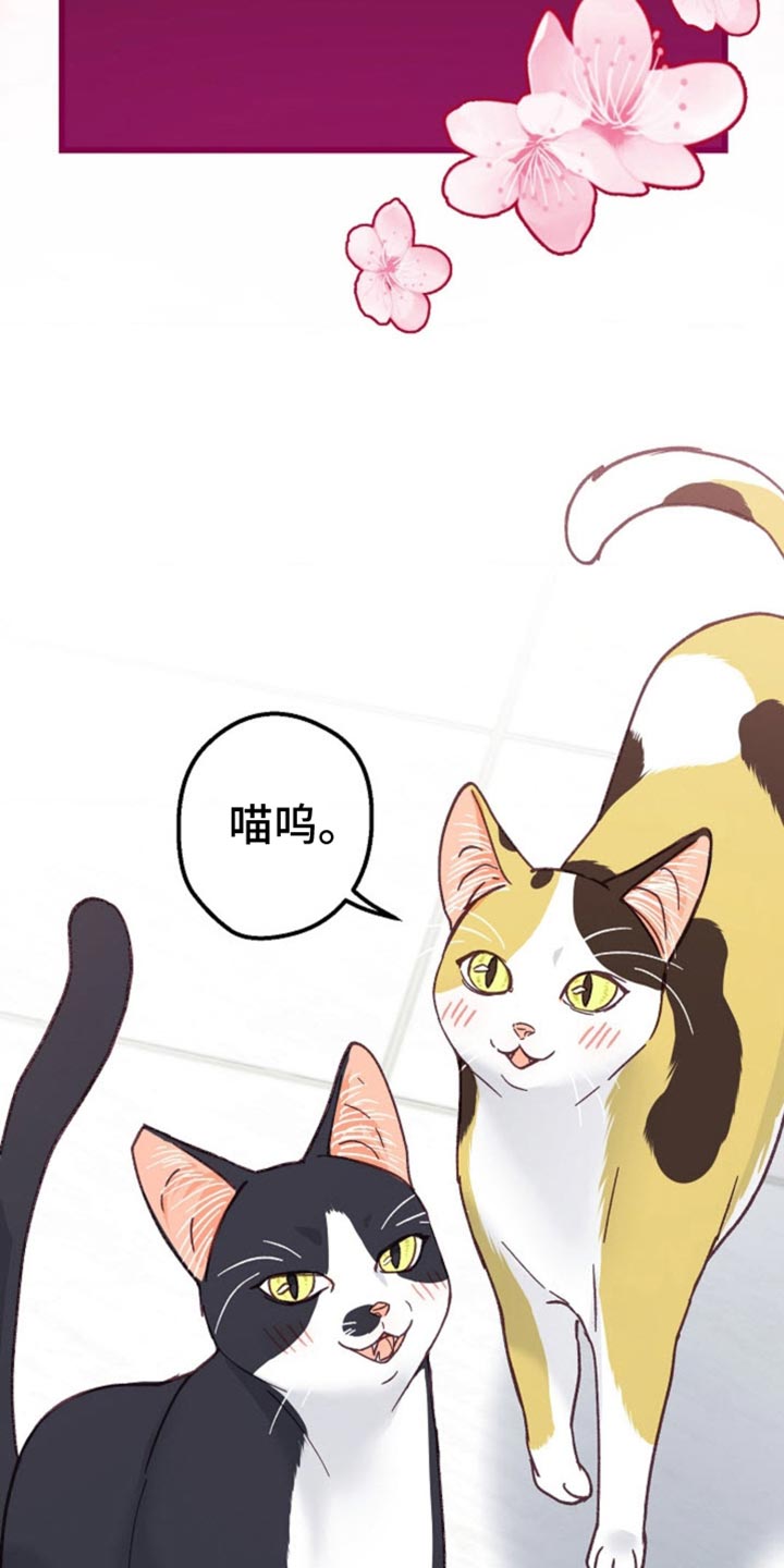 武赫的罗衣 第67话 第49页