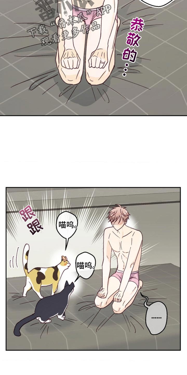 武赫的罗衣 第65话 第13页