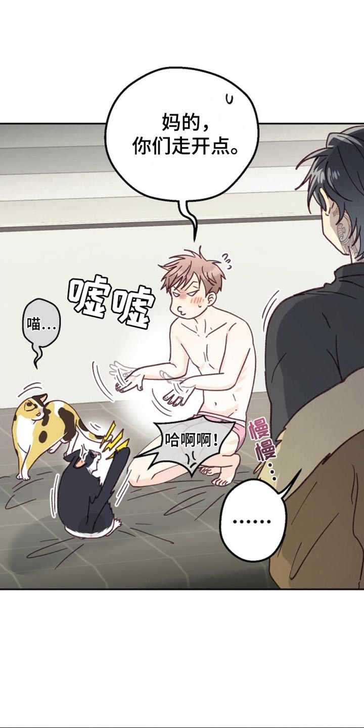 武赫的罗衣 第65话 第14页