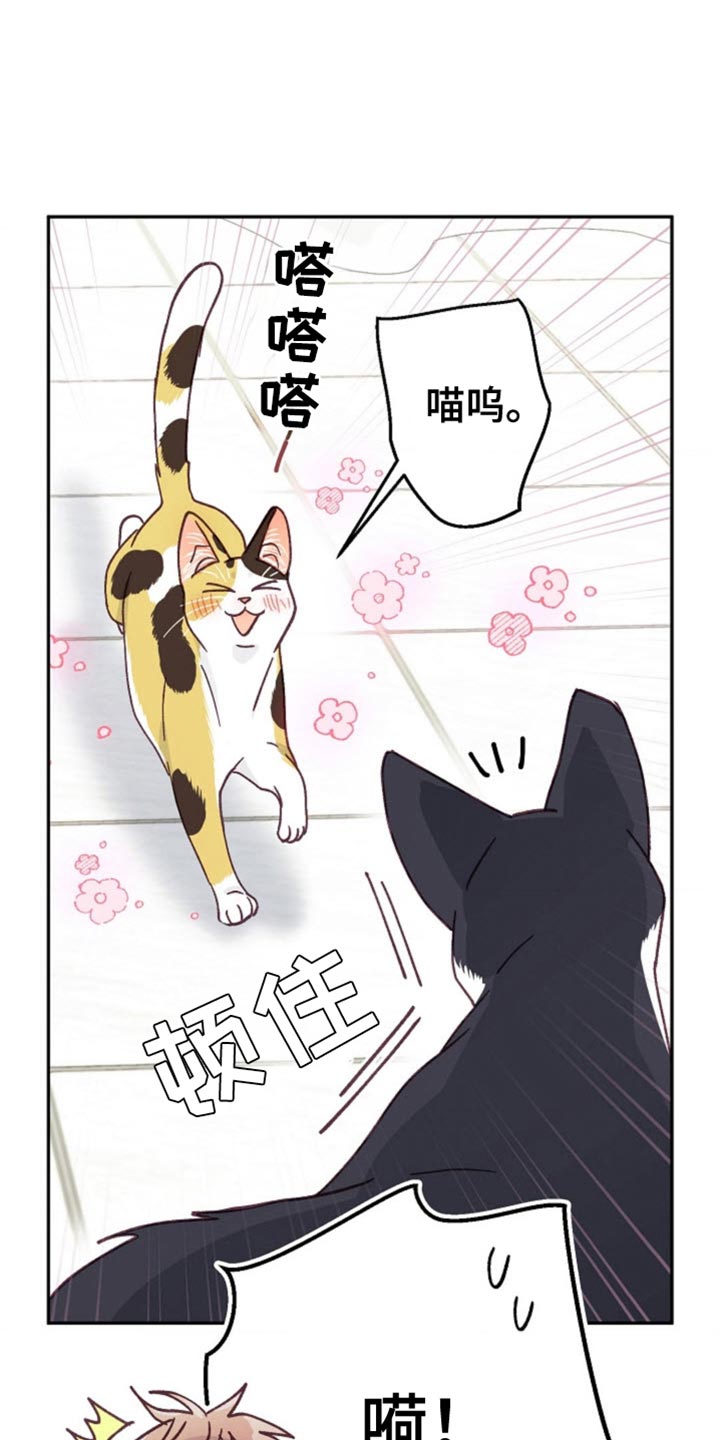 武赫的罗衣 第64话 第1页