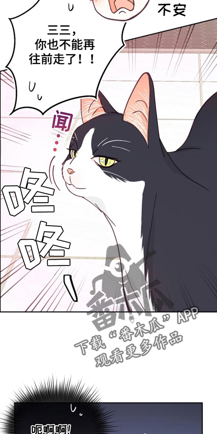 武赫的罗衣 第64话 第3页