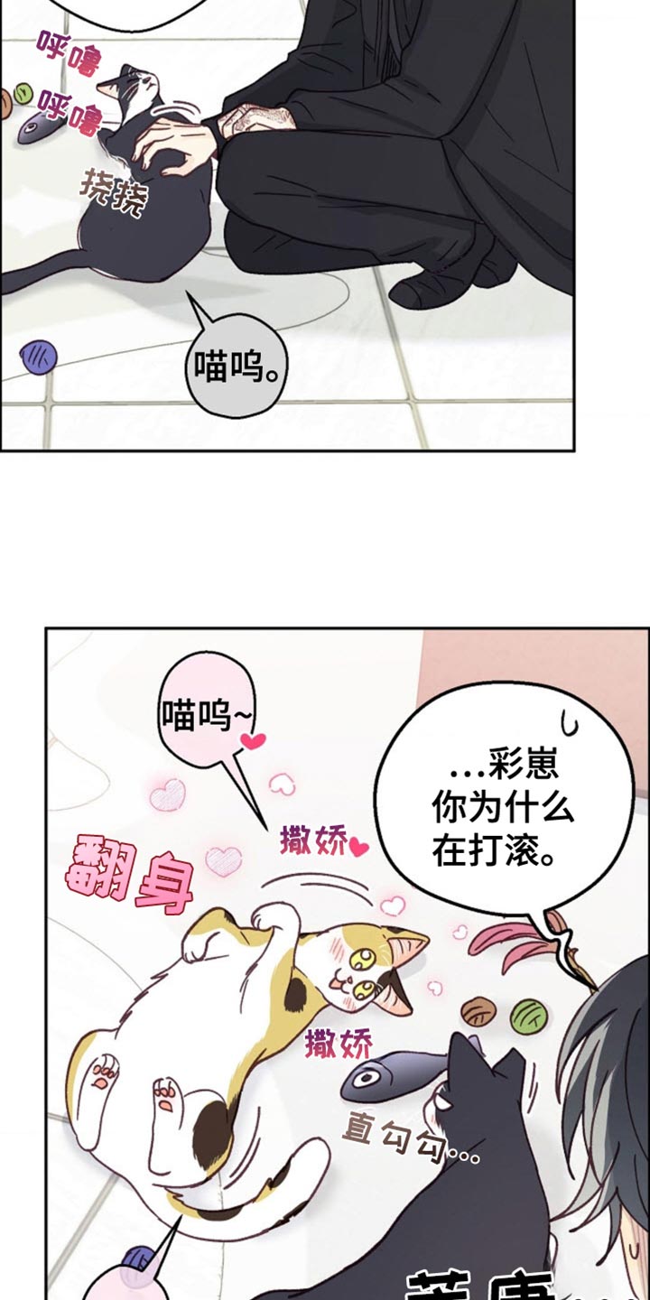 武赫的罗衣 第64话 第10页