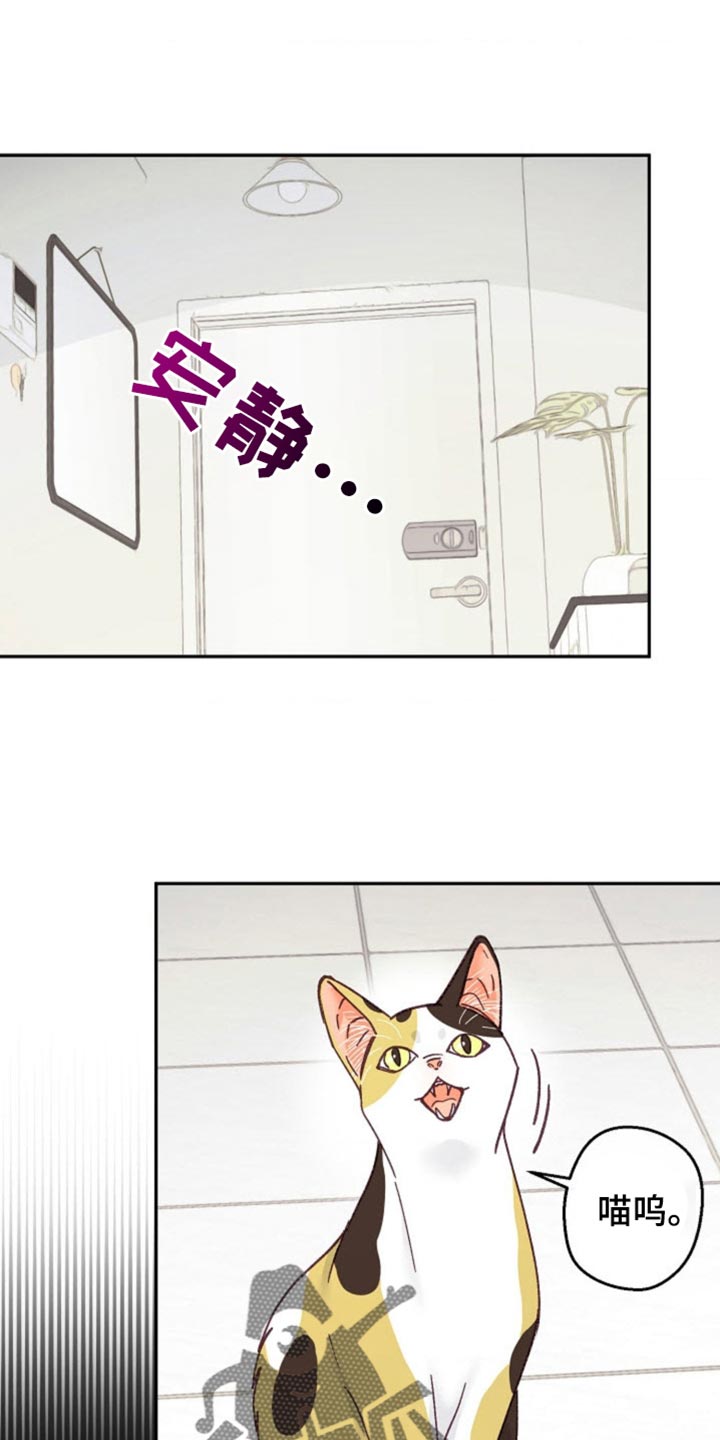 武赫的罗衣 第59话 第1页