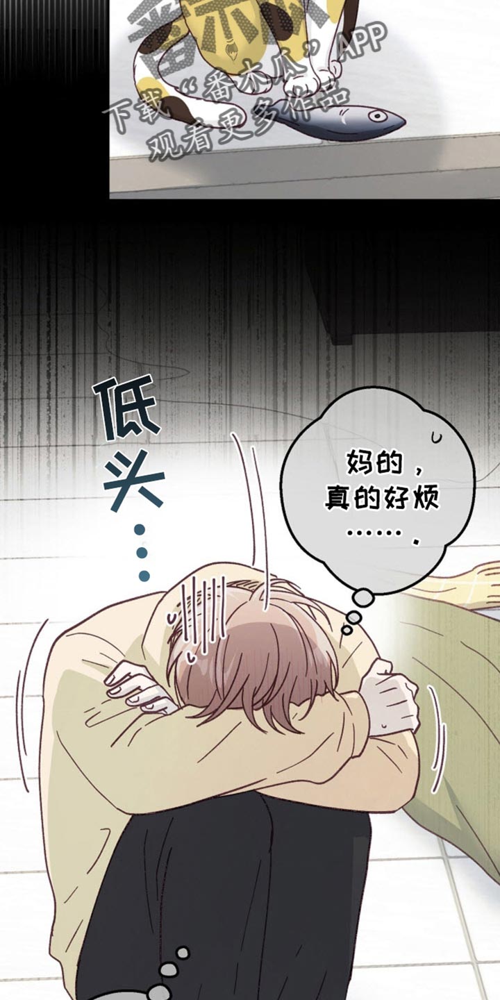 武赫的罗衣 第59话 第2页