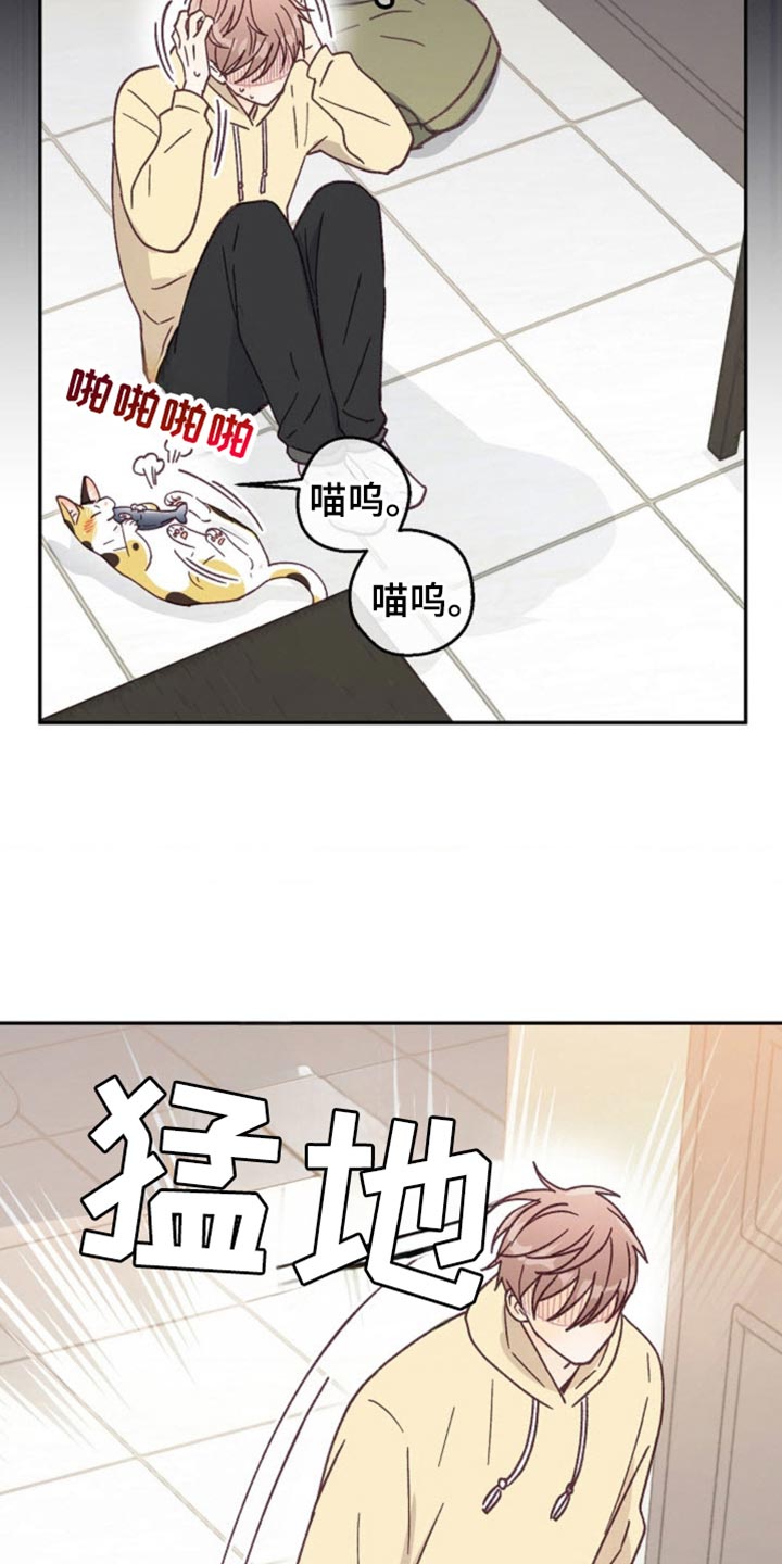 武赫的罗衣 第59话 第14页