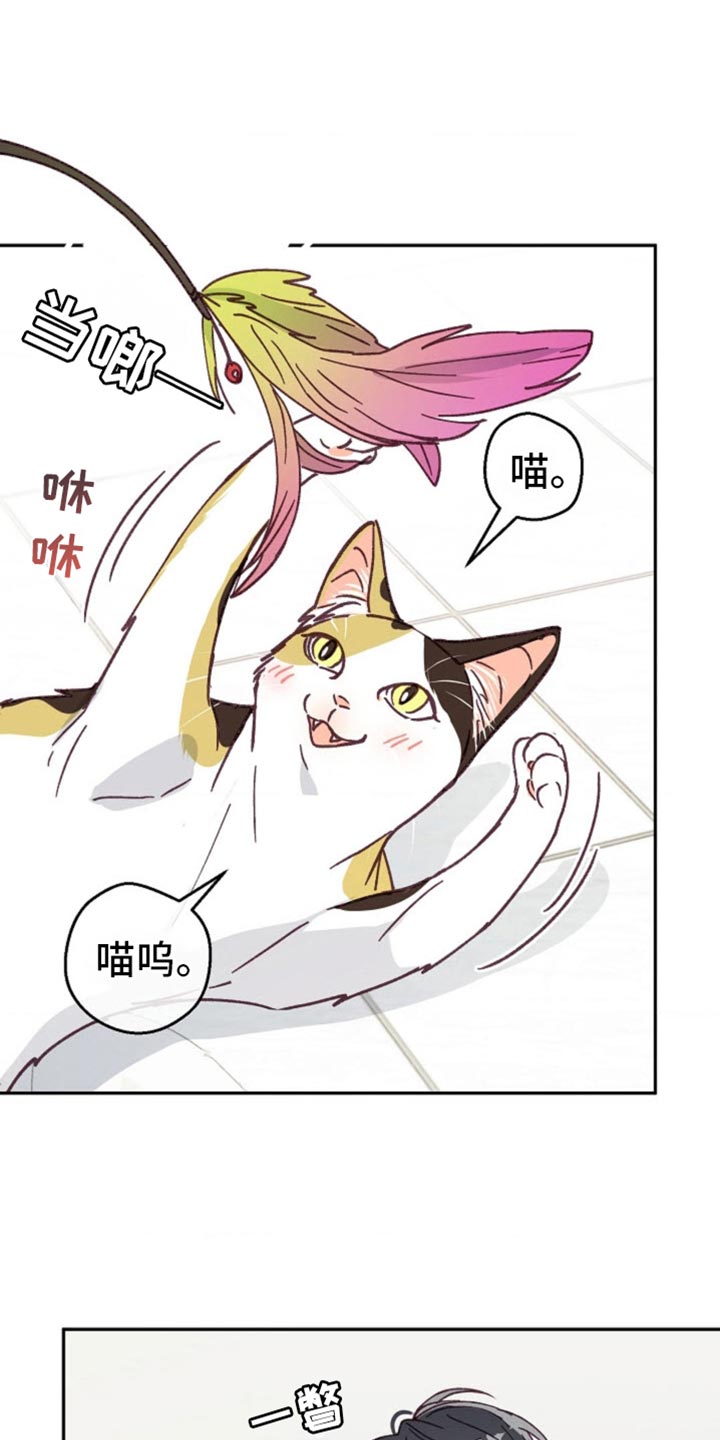 武赫的罗衣 第55话 第1页