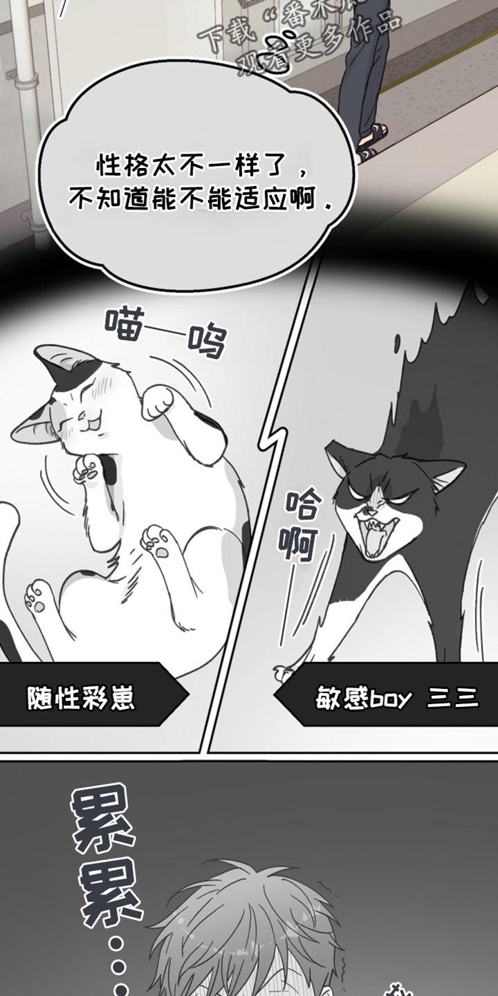 武赫的罗衣 第54话 第12页