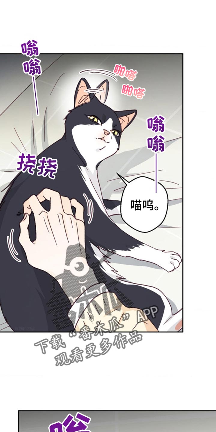 武赫的罗衣 第52话 第1页