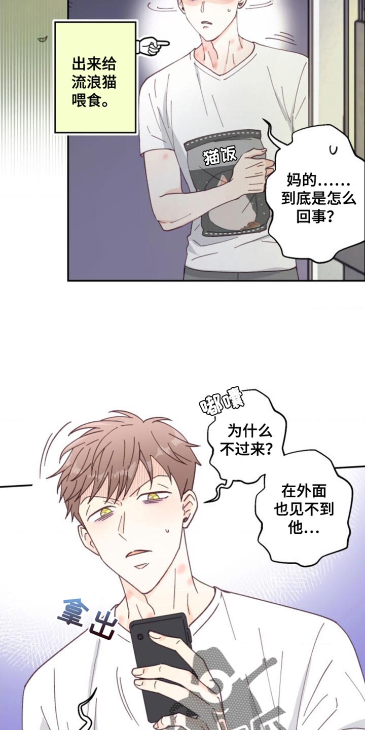 武赫的罗衣 第26话 第7页