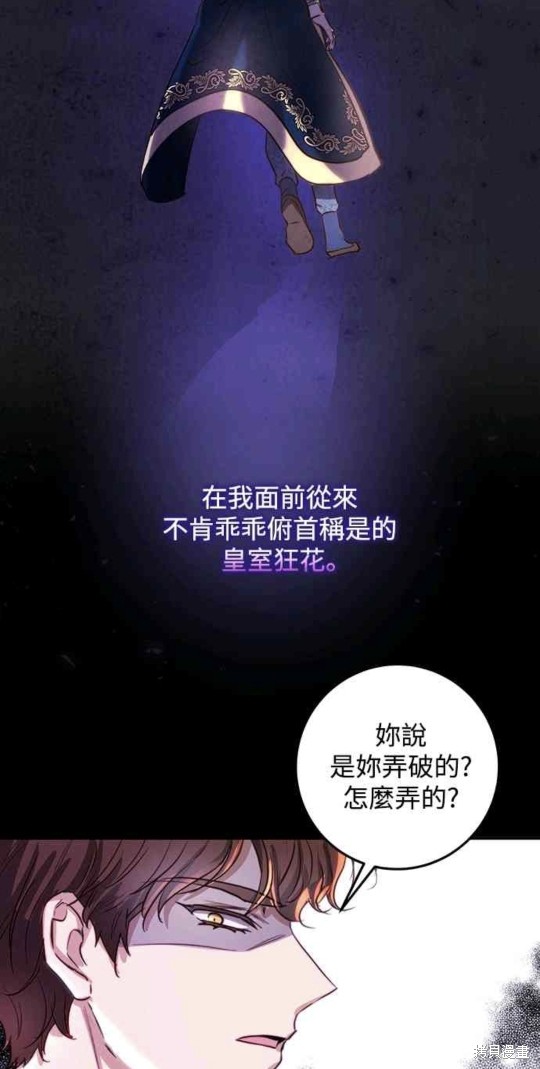皇女，一朵疯狂绽放的花 第20话 第19页