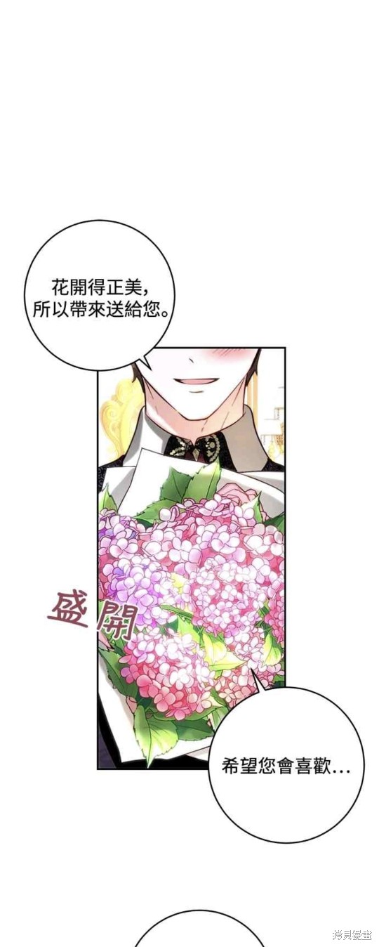 皇女，一朵疯狂绽放的花 第41话 第17页
